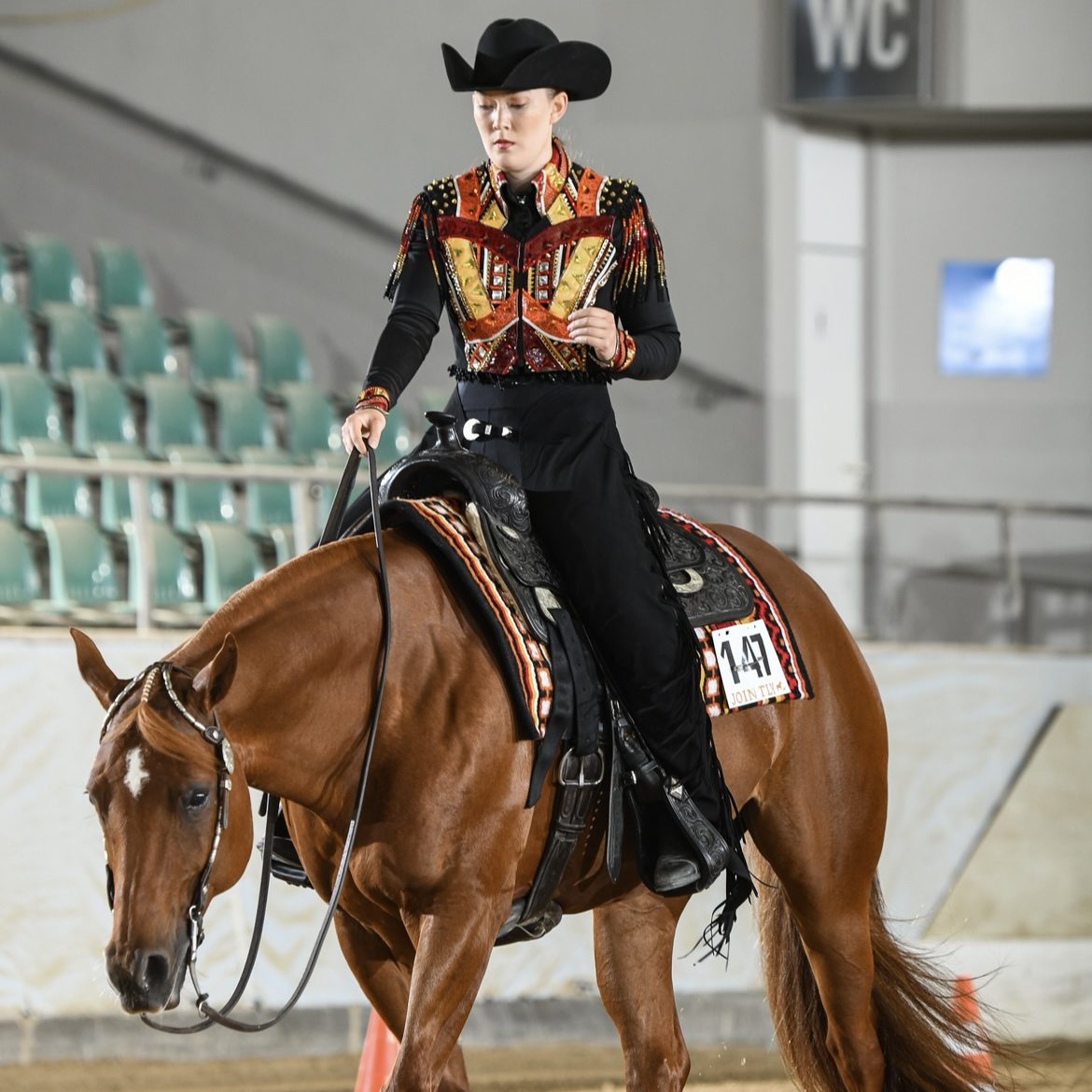 Ella Ohlen, Schweden